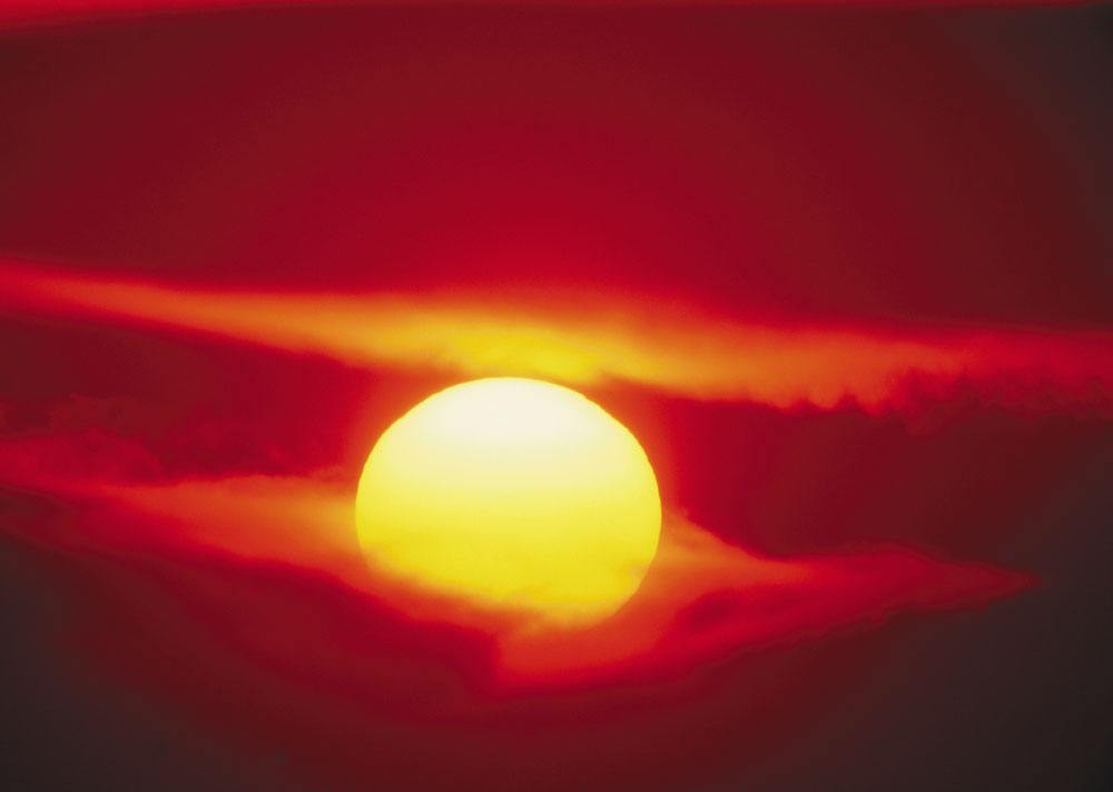 肾阳亏损食疗,肾阳亏损