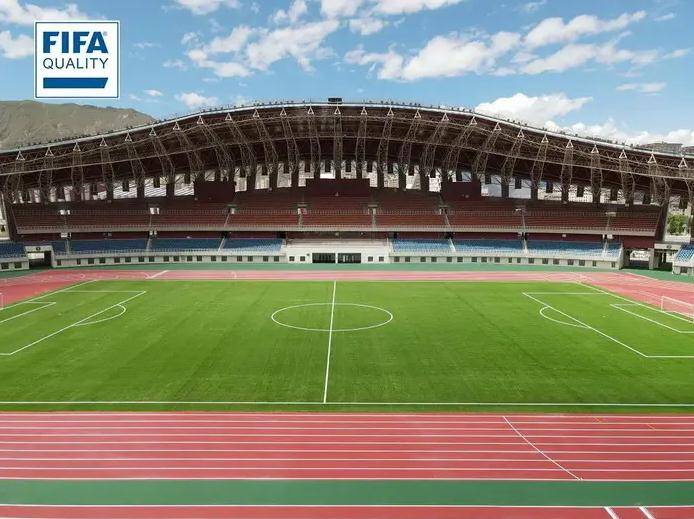 职业足球荒漠,中国的职业足球