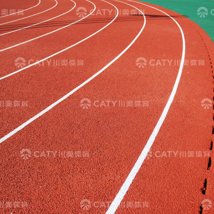 EPDM颗粒｜湖南中医药大学