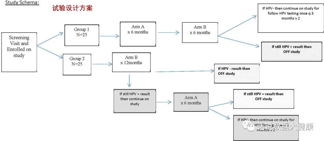 持续的高危hpv感染什么意思,什么药可以预防hpv持续感染