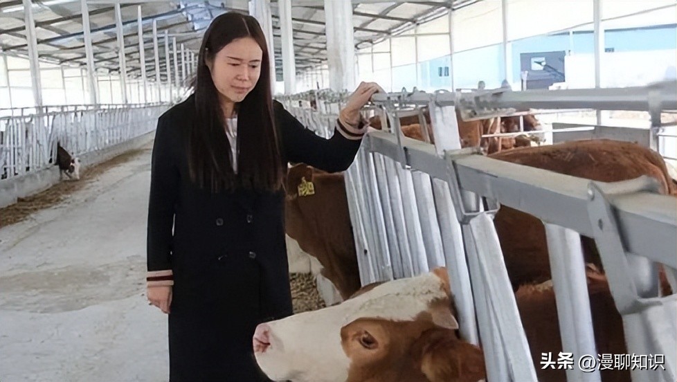 上海女白领被父亲一个电话叫回家养牛，靠没人要的牛1年狂赚1.6亿