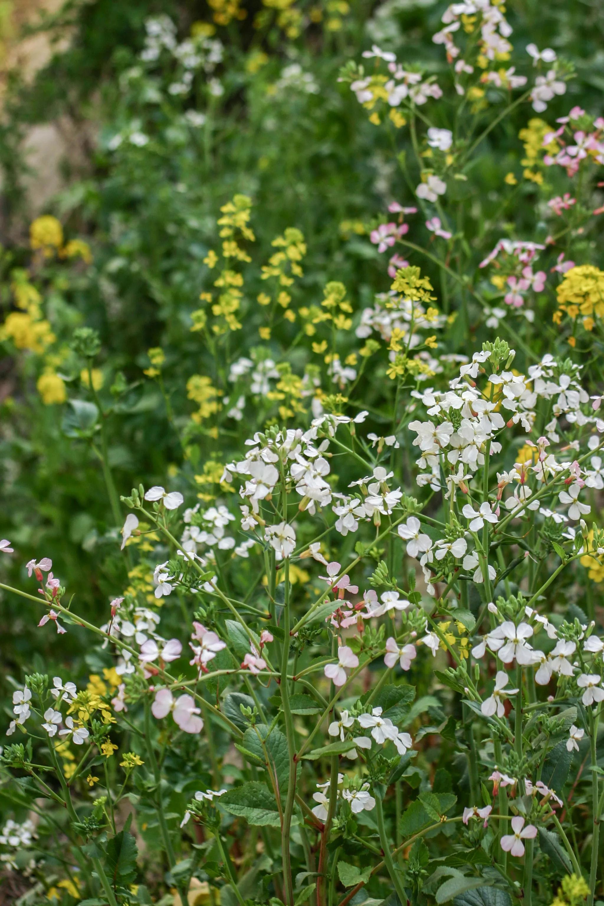 佳能入门机器能拍出好照片,佳能300d入门级