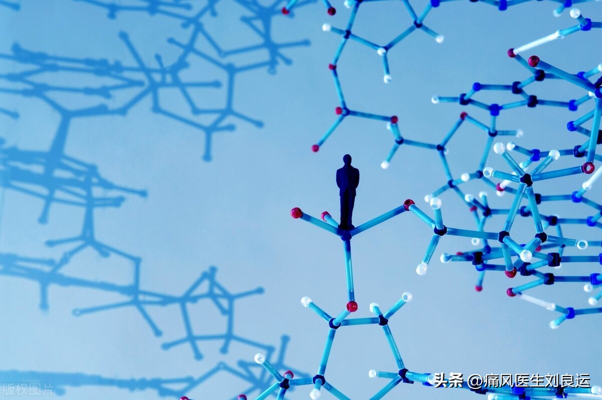 痛风备孕能吃什么药,高尿酸吃药期间能备孕吗