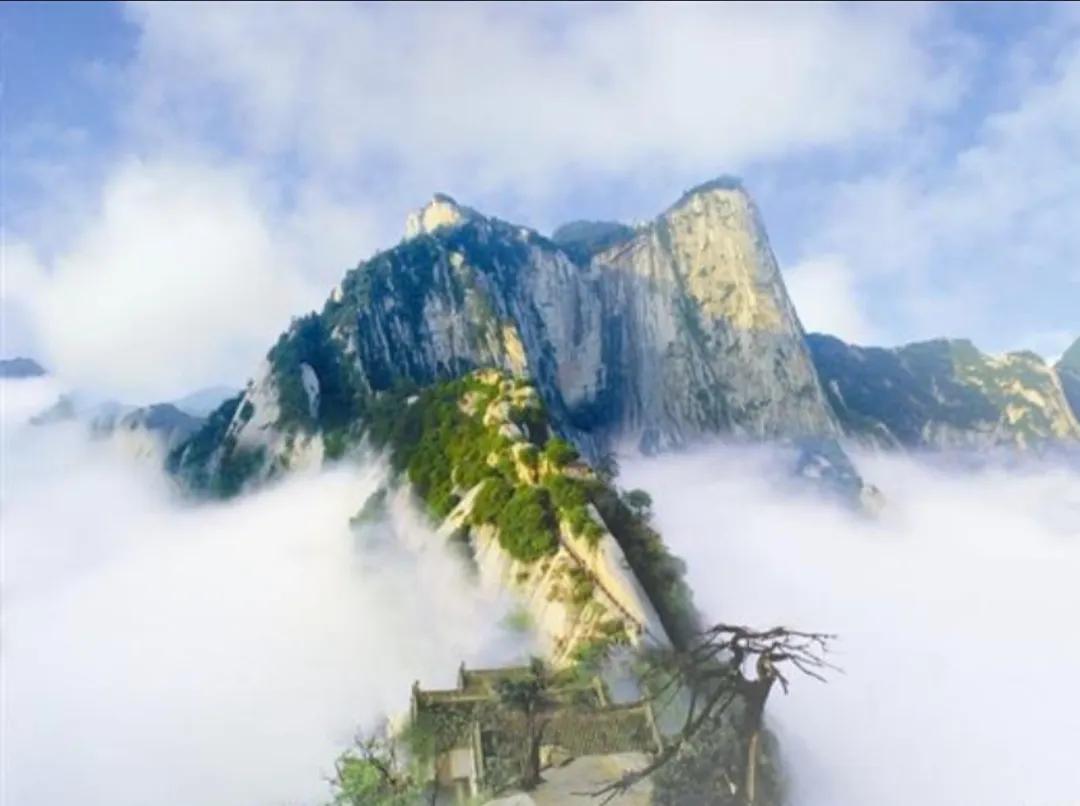 无锡西太湖旅游景点有海鸥吗,无锡富颐国际大酒店周边旅游景点