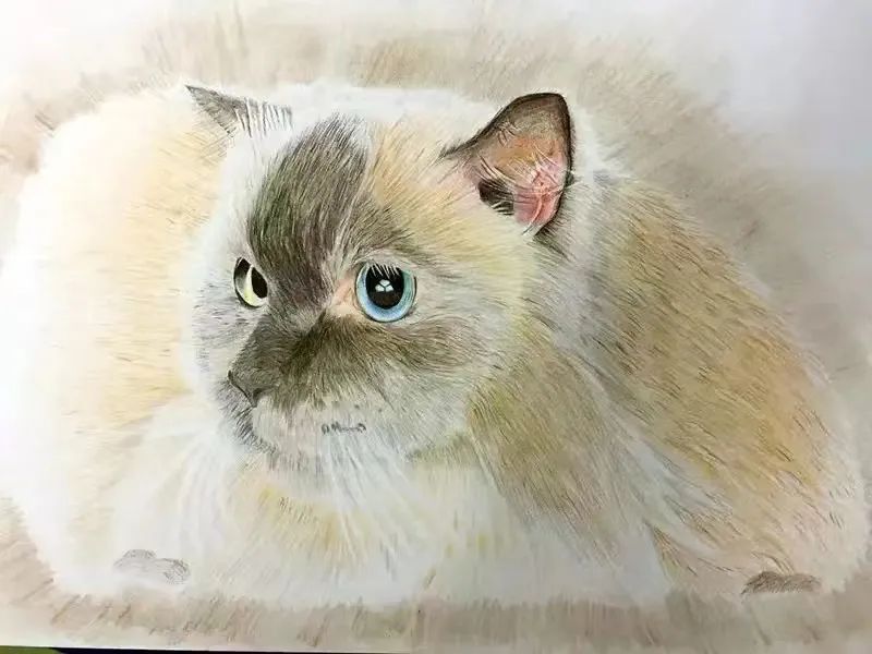 人不在了说节哀怎么说,节哀和节哀顺变哪个好