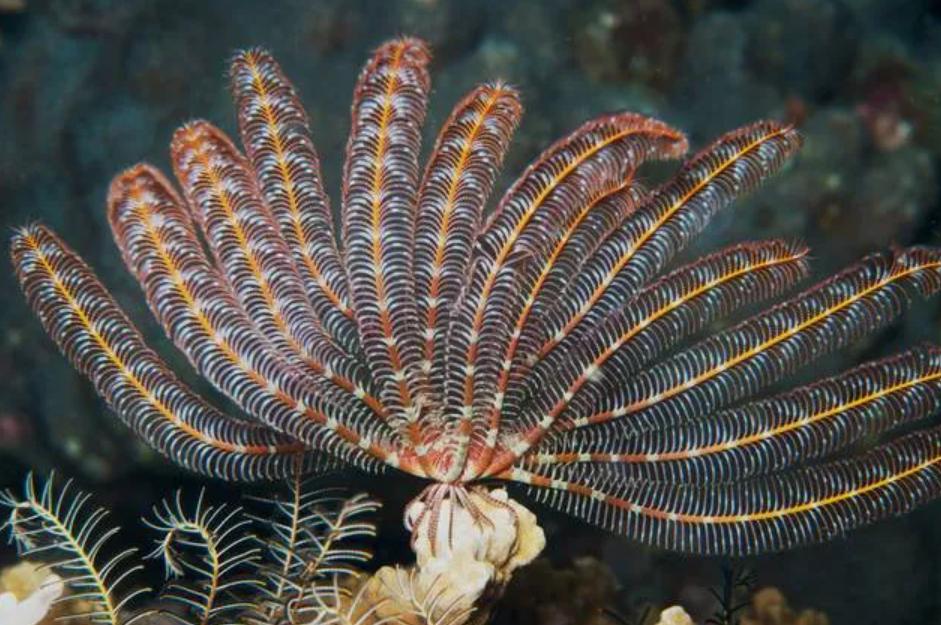 盘点20个细思极恐的科学事实,真相大白揭秘32个伪科学事实