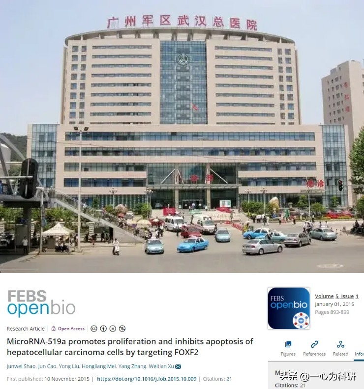 期刊正在调查广州军区武汉总医院的论文，因图片与他人文章重复
