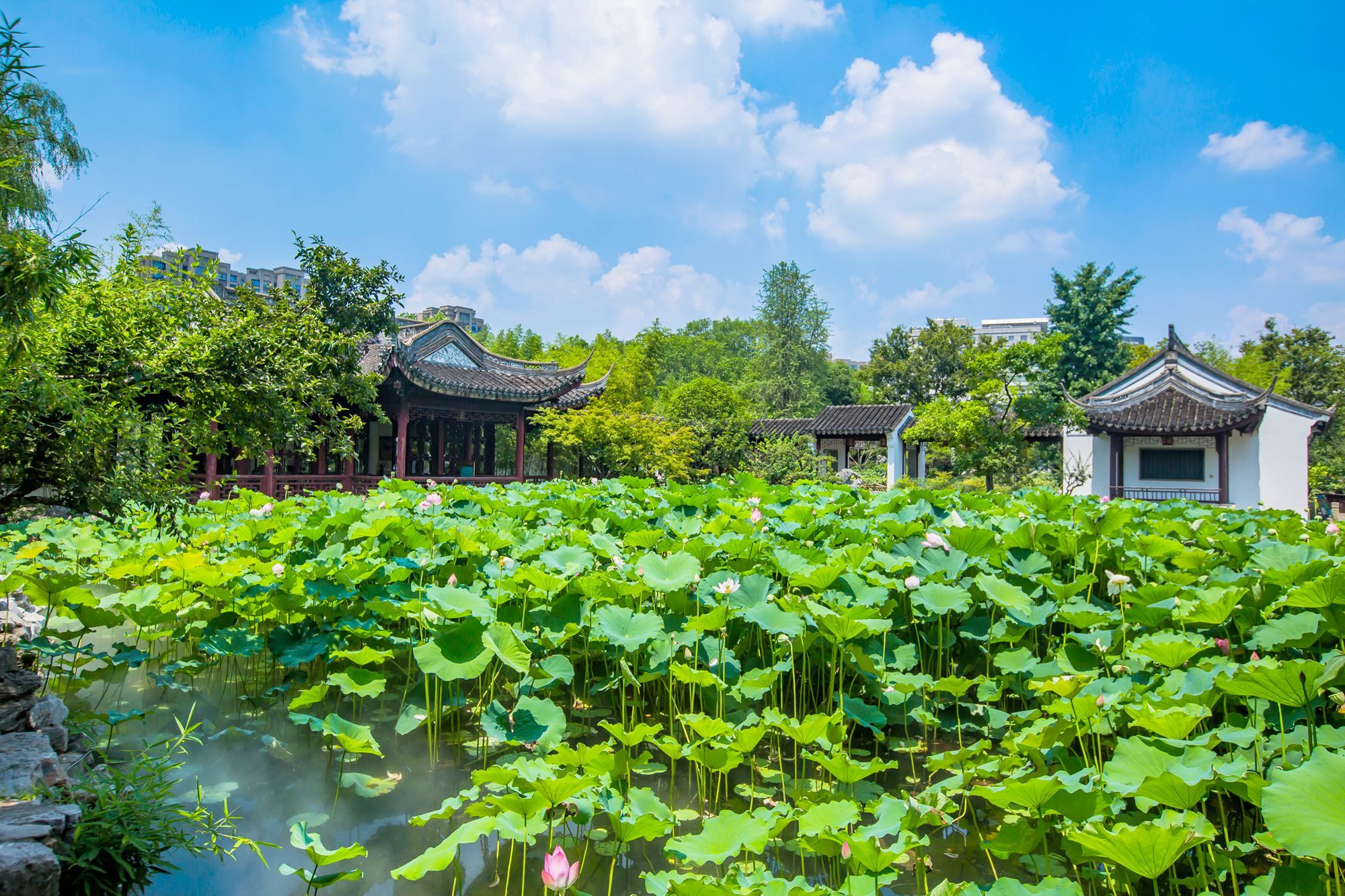 上海有几个古猗园,上海古猗园好玩吗