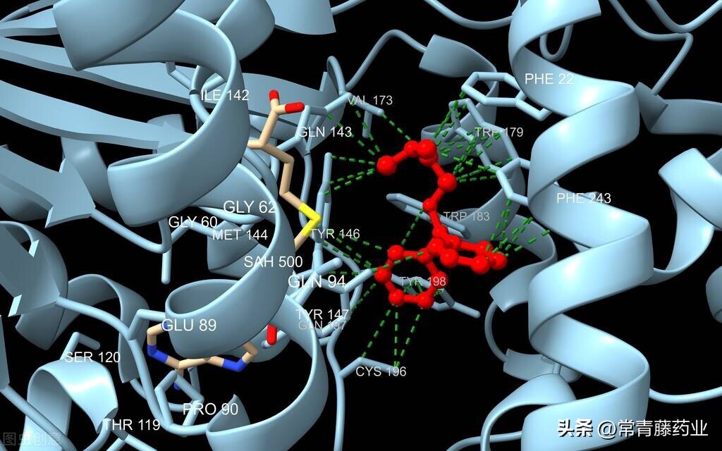 药物性肝损害吃什么保肝药,警惕药物性肝损害