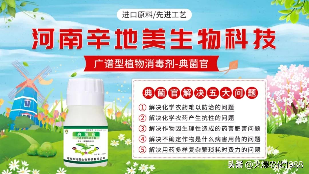 如何杀真菌细菌病毒,万能广谱杀菌剂所有病害一网打尽