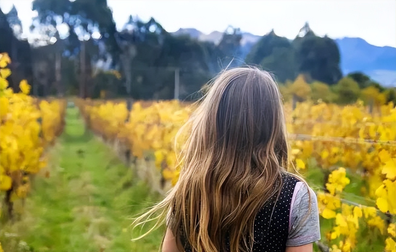 家庭越来越幸福的原因,家庭中最有福气的人对家庭的影响