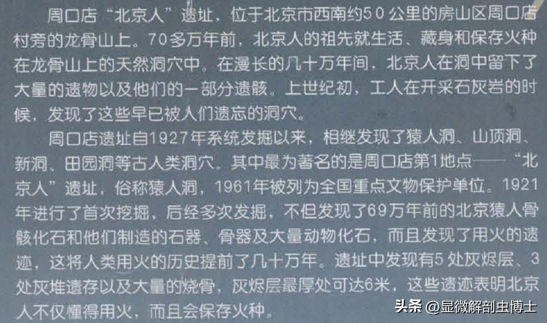 食腐动物的生理,各种动物摄食行为视频