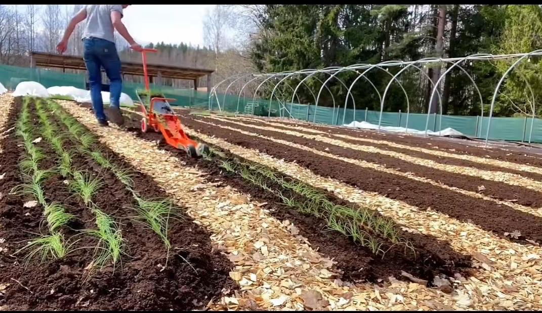 欧洲家庭农场种植技术,小型先进农业工具