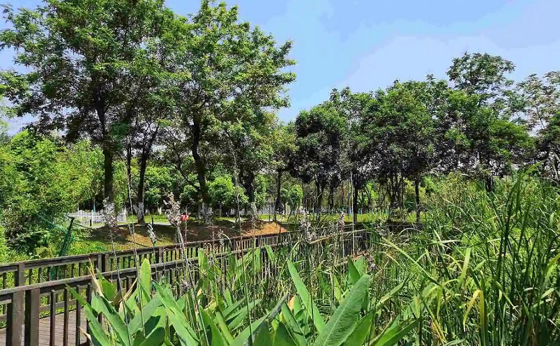 南京栖霞区免费游玩景点推荐,南京一百个免费景点