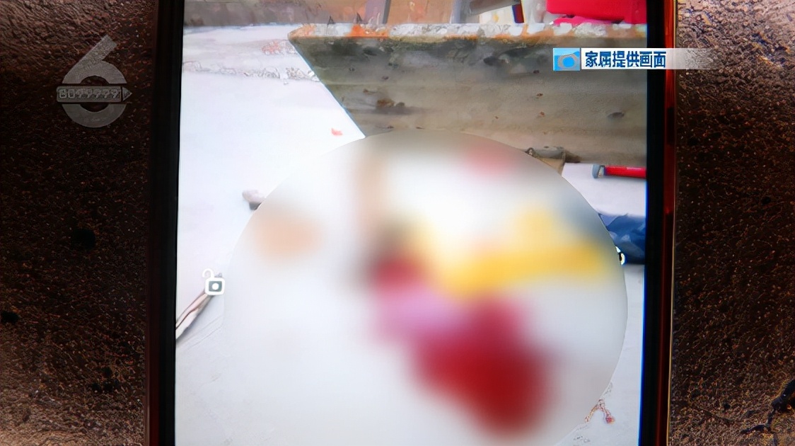 篮球架受伤男孩,痛心5岁男童因高空抛物被砸身亡