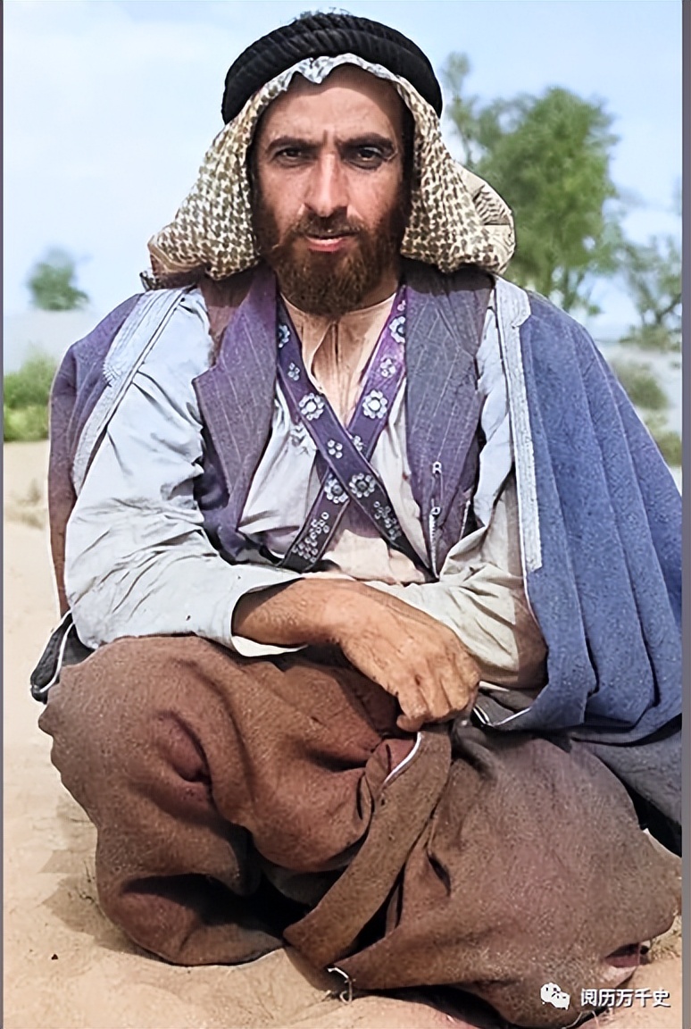 阿联酋的国家小知识,介绍阿联酋国家