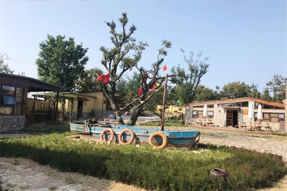 供销社还能继续存在吗,供销社以后还有发展吗