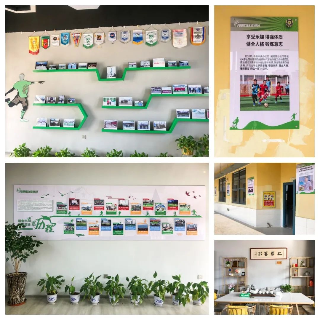 派迪茵体育直播,派迪茵体育有限公司