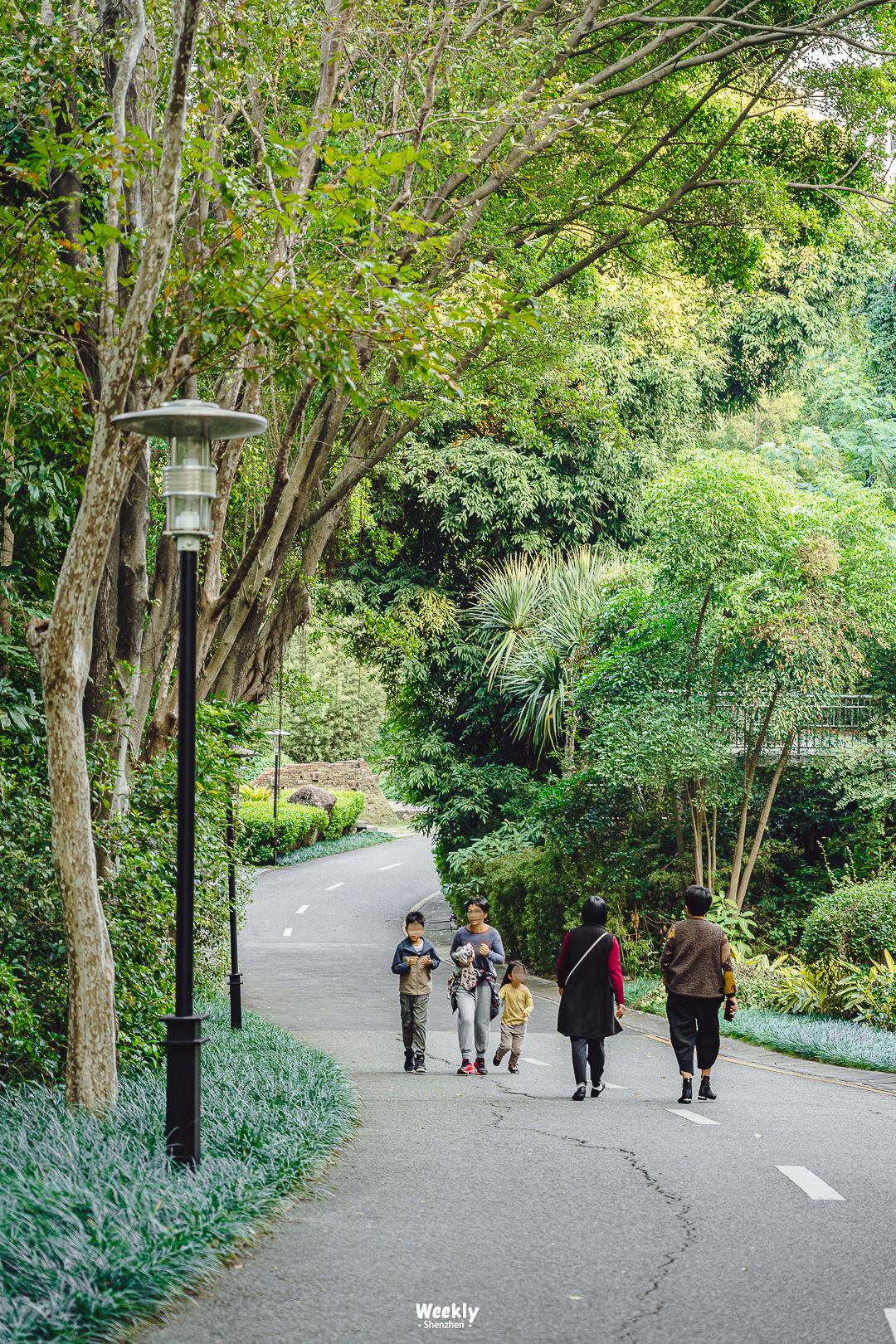 真羡慕那些住高档小区的人,真羡慕住在海边的人