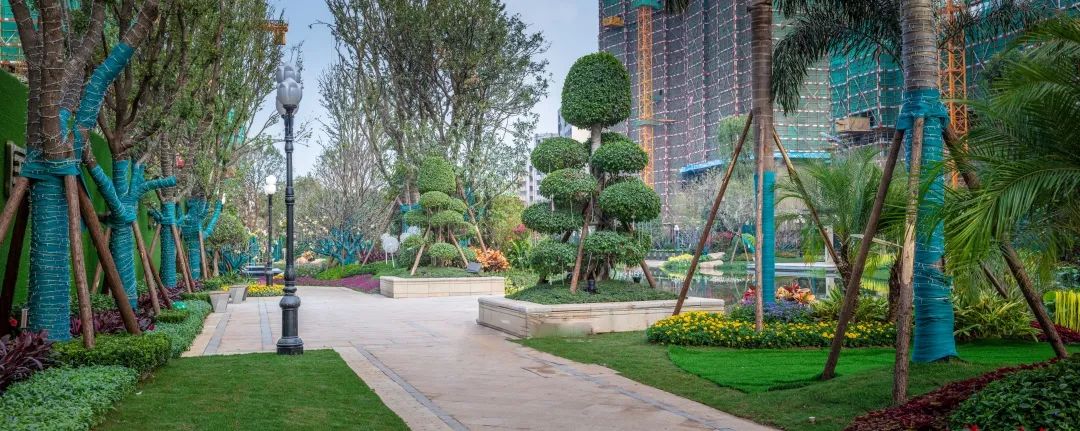 恒大悦珑台佛山交楼了吗,佛山恒大新楼盘