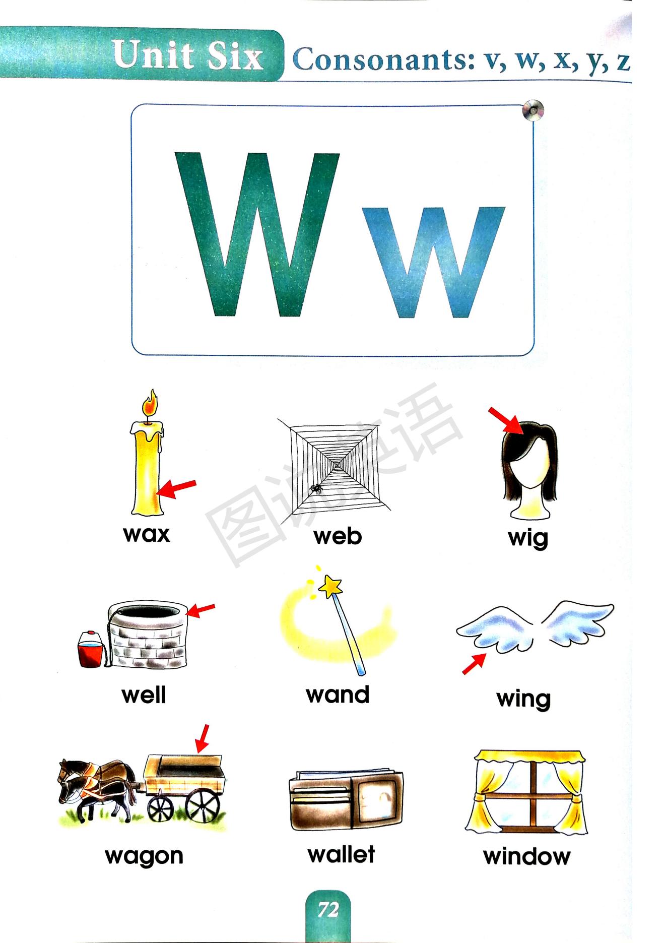 一口背,一口学会国际音标