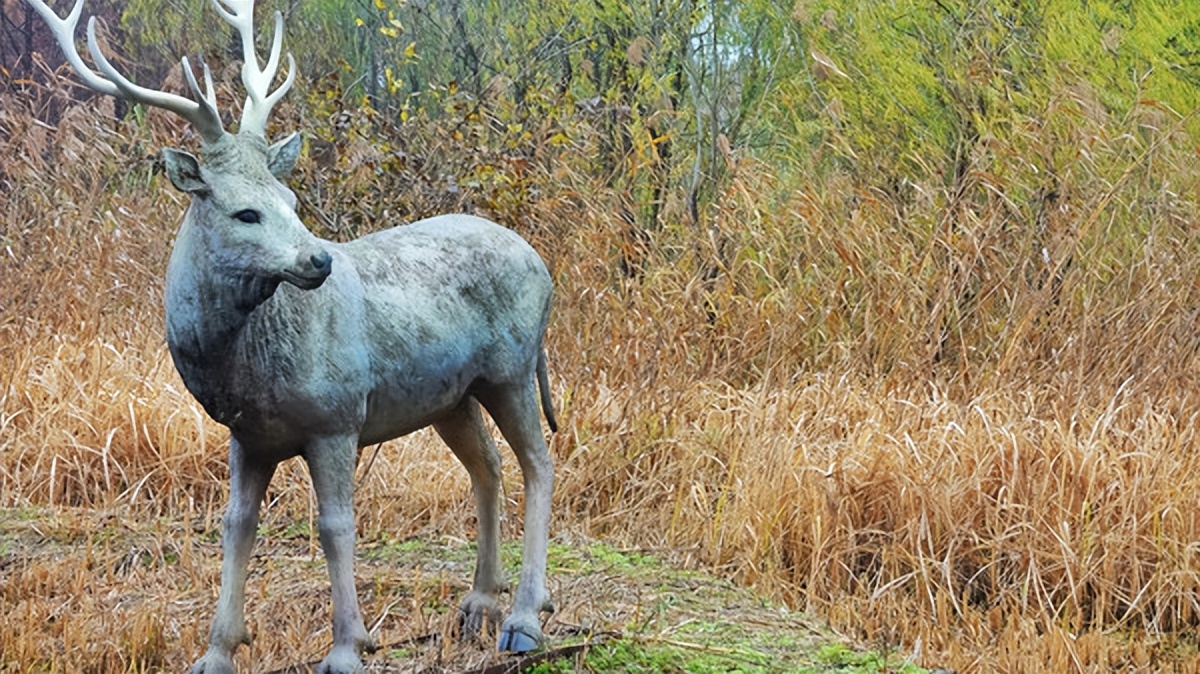 在江苏的“绿林仙海”中，寻找侠气与柔情