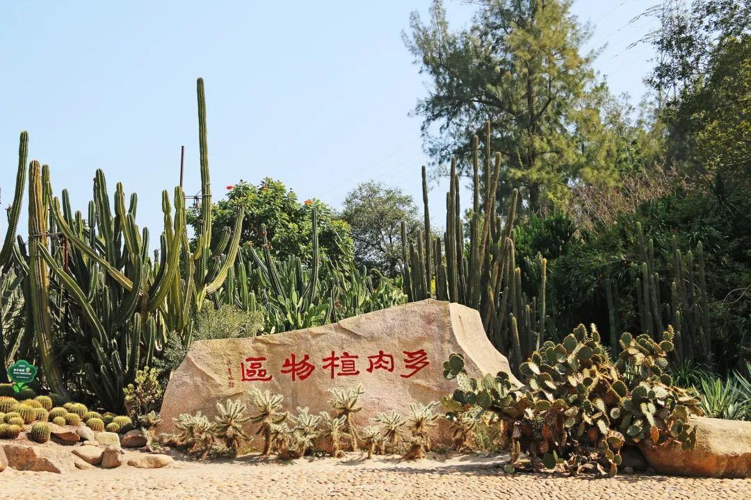 厦门旅游亲子酒店,厦门岛内亲子好去处