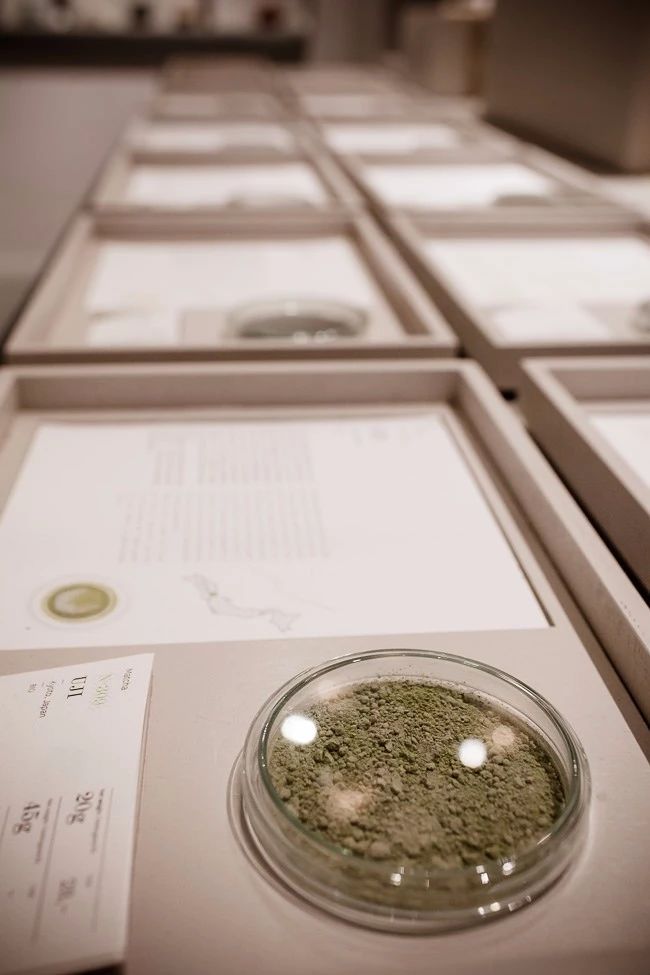 文圣茶说丨德国PaperTea茶叶店