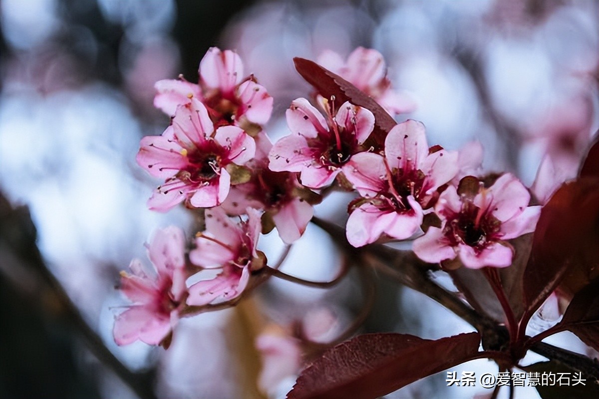 如果有人不喜欢你你该怎么办,如果有人不喜欢你你喜欢她怎么办