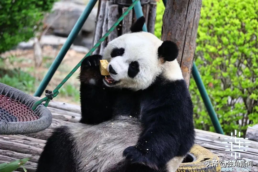 大连附近一日游旅游景点大全,大连哪里更好玩一日游景点