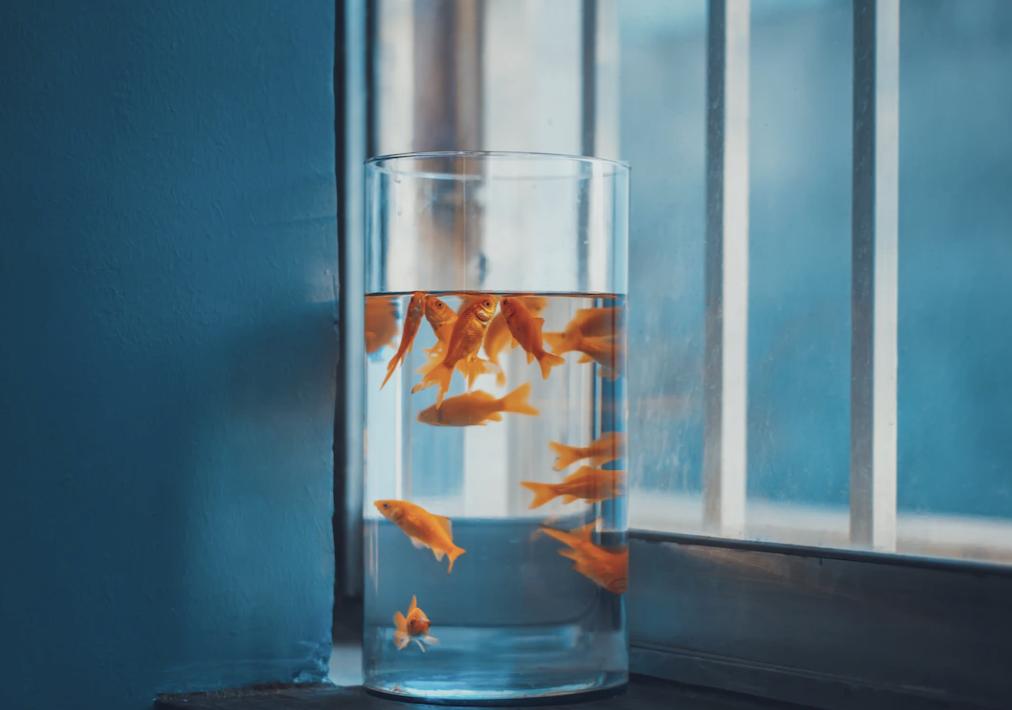 教育孩子的5大黄金法则,教育孩子的十二项法则你认同几条