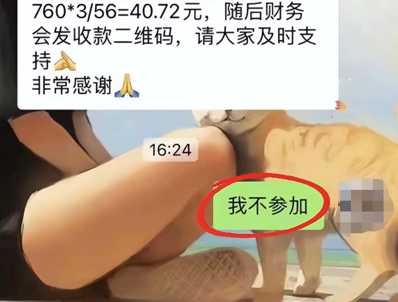 家委会建议大家凑钱给老师买套房,家委会组织给老师买兰蔻