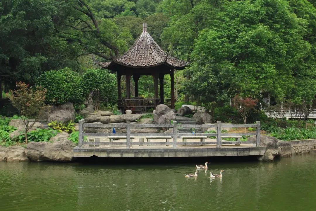 深圳六一儿童节免费活动室内,六一儿童节公园免票