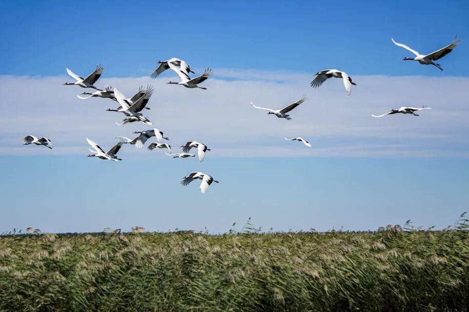 “中国一生必去的50个地方”,各个惊艳!值得收藏!