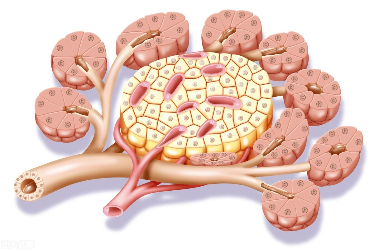 胰腺癌与胃病的症状区别,胰腺癌早期和胃病症状的区别