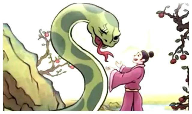 大蟒蛇攻击人视频,蟒蛇为什么不像小蛇一样攻击人