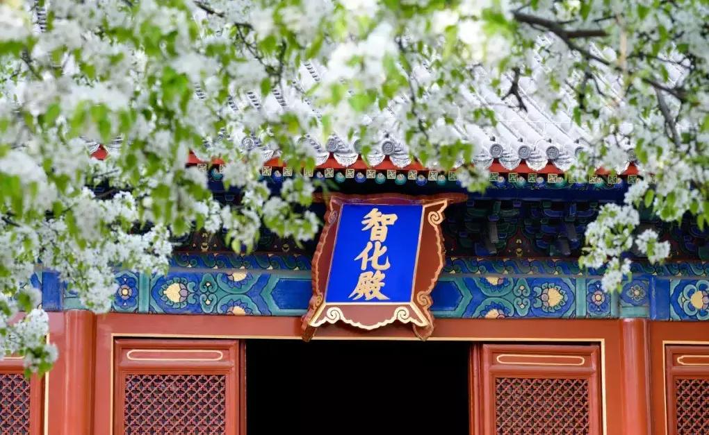 北京5环有啥好吃的,北京小吃一条街最好吃的排行榜