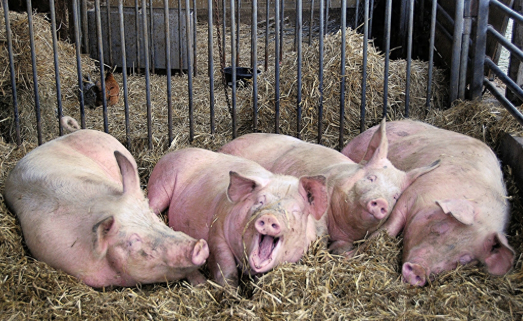 广东女子遭男友杀害23年落网,广东23岁女子遭杀凶手已抓