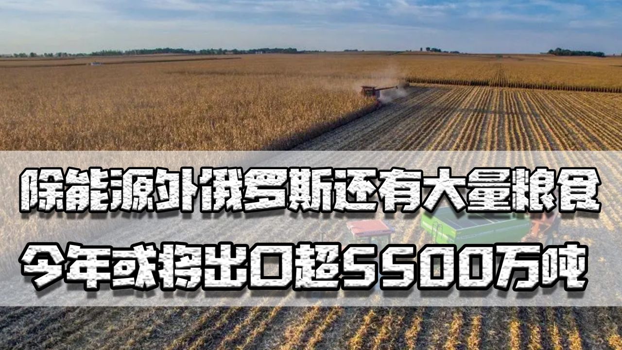 巴基斯坦从俄罗斯进口原油,巴基斯坦宣布用人民币结算俄石油