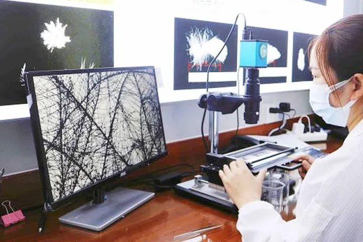 老鹅价格缘何“狂飙”/日本高端童装品牌继续开店，羽绒服过万