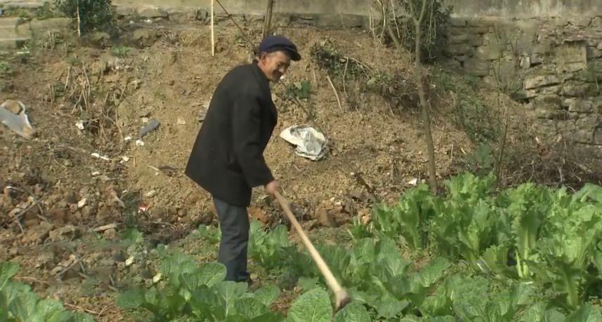 搭错车大结局小美和爸爸相认,现实版的《搭错车》