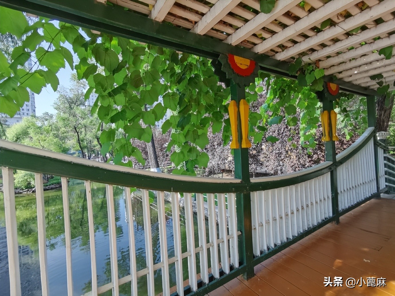 哈尔滨兆麟公园门票免费吗,哈尔滨兆麟公园老照片