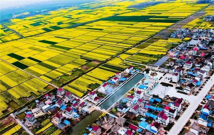 这里是人间仙境歌词,这里是人间仙境