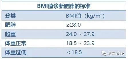 如何判断身体是否偏胖,如何判断自己偏瘦还是偏胖