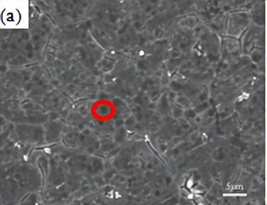 中北大学赵宇宏教授团队:石墨烯纳米片/AZ91D镁基复合材料腐蚀行为研究