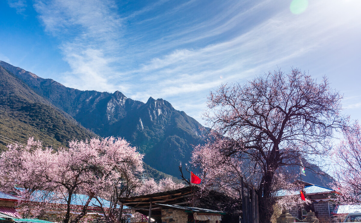 寓言小故事大道理感悟人生,一则通俗易懂的寓言故事