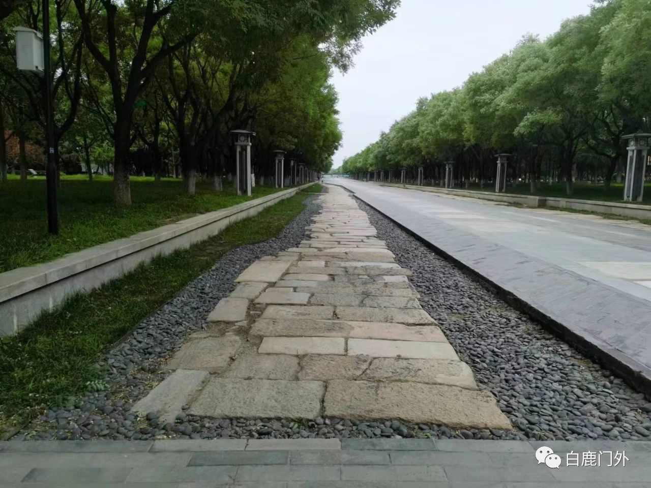 阅读只有输入没有输出,有输入没有输出什么原因