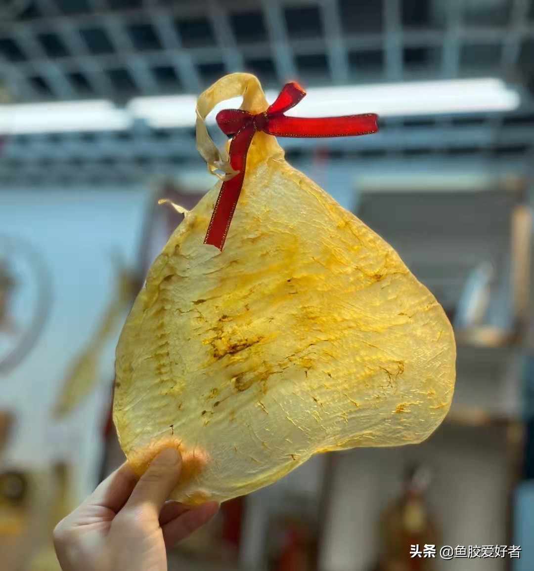 怎样挑选鱼胶最好,鱼胶怎么挑选才是好的