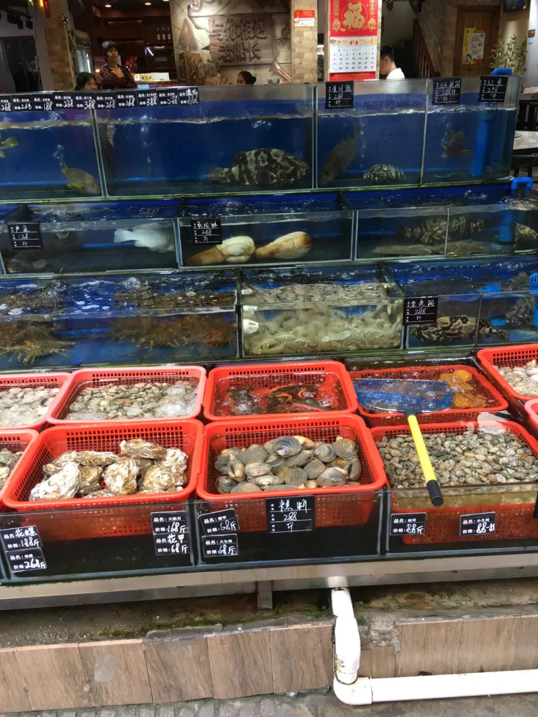 《旭光骑行深圳》第19站——大鹏新区大鹏街道