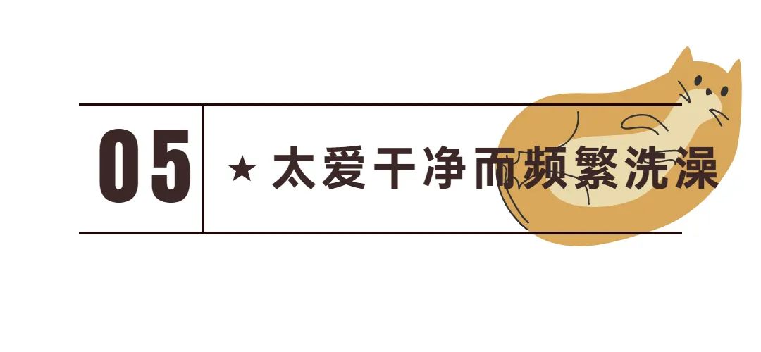 新手常见的害猫行为,养猫注意预防哪些疾病